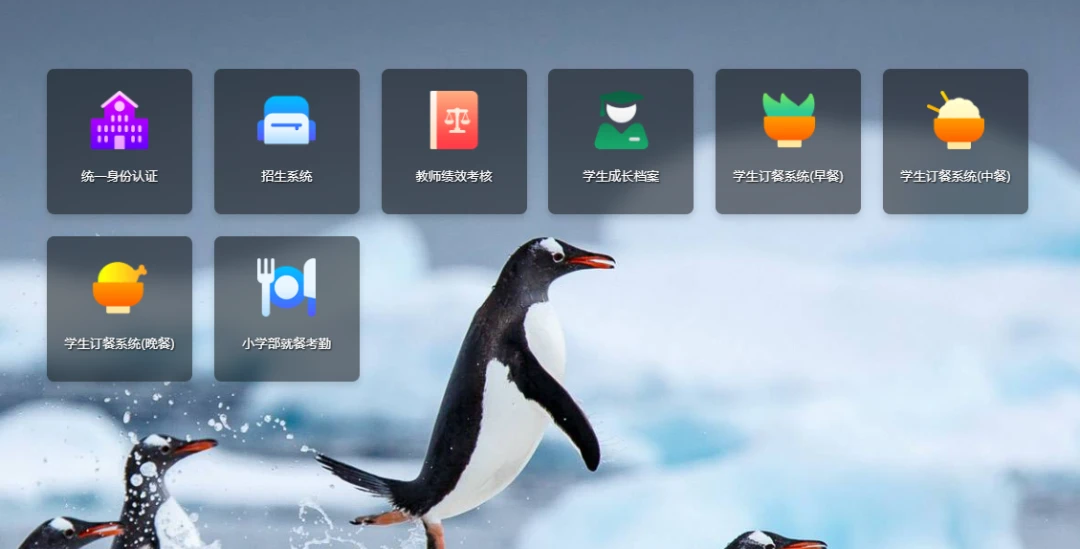 如何在比赛中发现和发展球员潜力_1